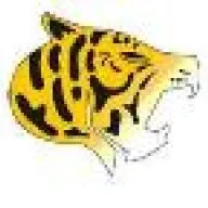 Profile picture for user MadTiger3000