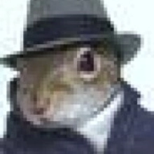 Profile picture for user Mysterious Squirrel