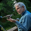 Talking to the birds at Poole Slough