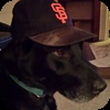 Profile picture for user Blacklab